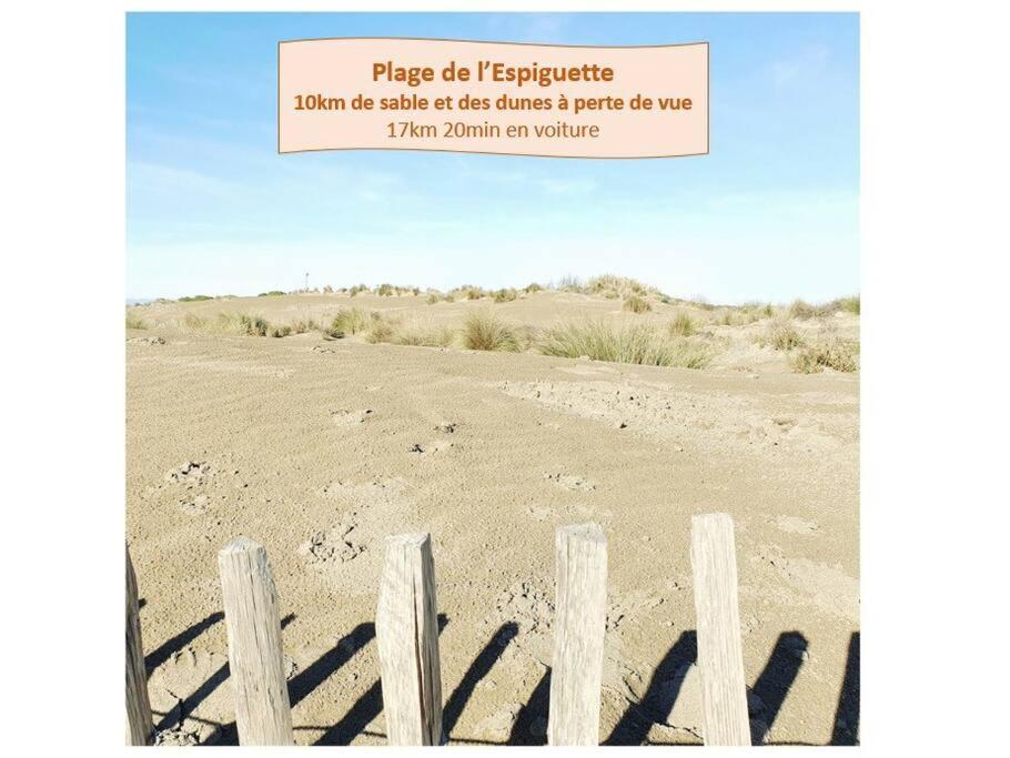 Suite Maya Parking Clim Wifi Centre-Ville Et Port - Rossiconciergerie - Linge Inclus La Grande-Motte Eksteriør bilde
