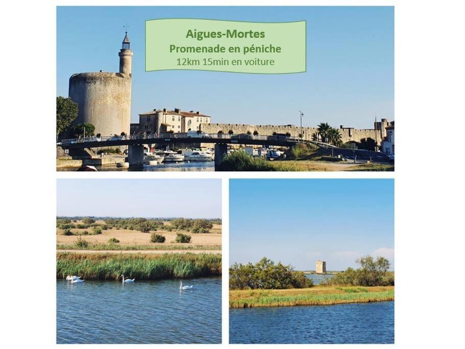 Suite Maya Parking Clim Wifi Centre-Ville Et Port - Rossiconciergerie - Linge Inclus La Grande-Motte Eksteriør bilde